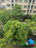 listing thumbnail image 8