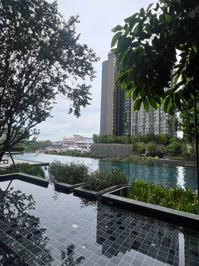 picture Code: 26KJ4196  for rent The Parkland Phetkasem 56 🔥🔥 Line ID: @kjcondo (with @)🔥🔥 - 12/14