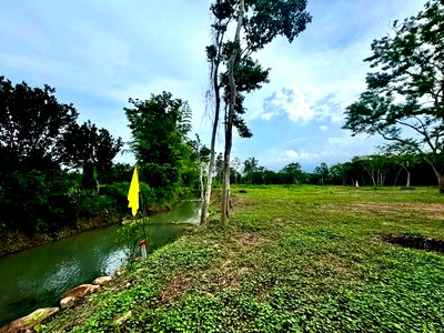 Land for sale Nakhon Nayok : Gorgeous plot of land for sale with a clear title deed, blessed with a beautiful running stream passing through.