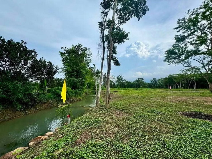 picture Gorgeous plot of land for sale with a clear title deed, blessed with a beautiful running stream passing through. - 1/7