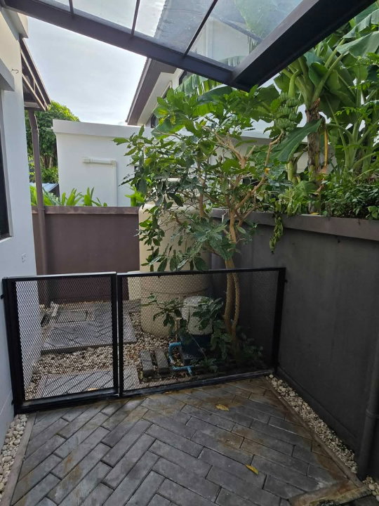 รูป ให้เช่าบ้านเดี่ยว มัณฑนา 1 บางนา กม.7 บ้านรีโนเวทใหม่!! พร้อมเข้าอยู่ (H6946) - รูปที่ 26/39