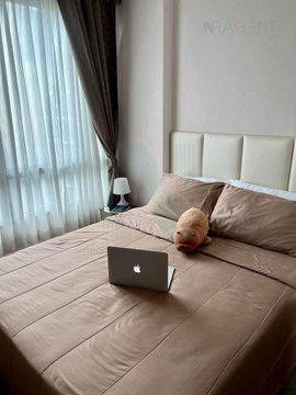 For Sell Condo METRO LUXE RIVERFRONT RATTANATHIBET Building C, Floor 8,1 bed room, Room size 29 sqm