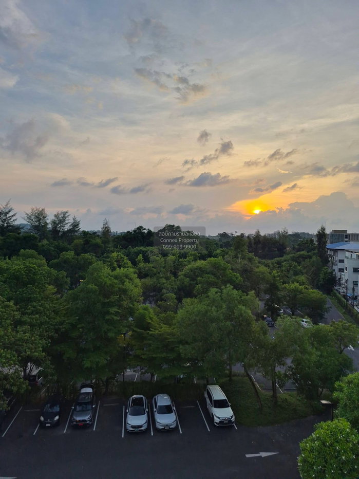 picture For Rent Condo , Zcape condo , Choeng Thale , Thalang , Phuket , CX-168629 ✅ Live chat with us ADD LINE @connexproperty ✅ - 7/7