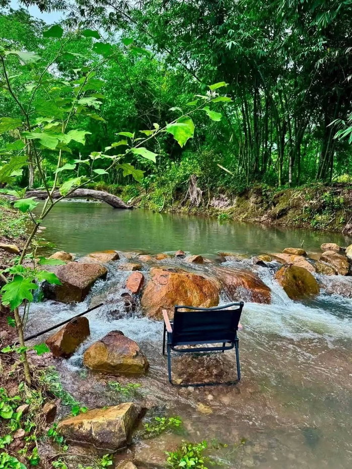 picture Gorgeous plot of land for sale with a clear title deed, blessed with a beautiful running stream passing through. - 7/7