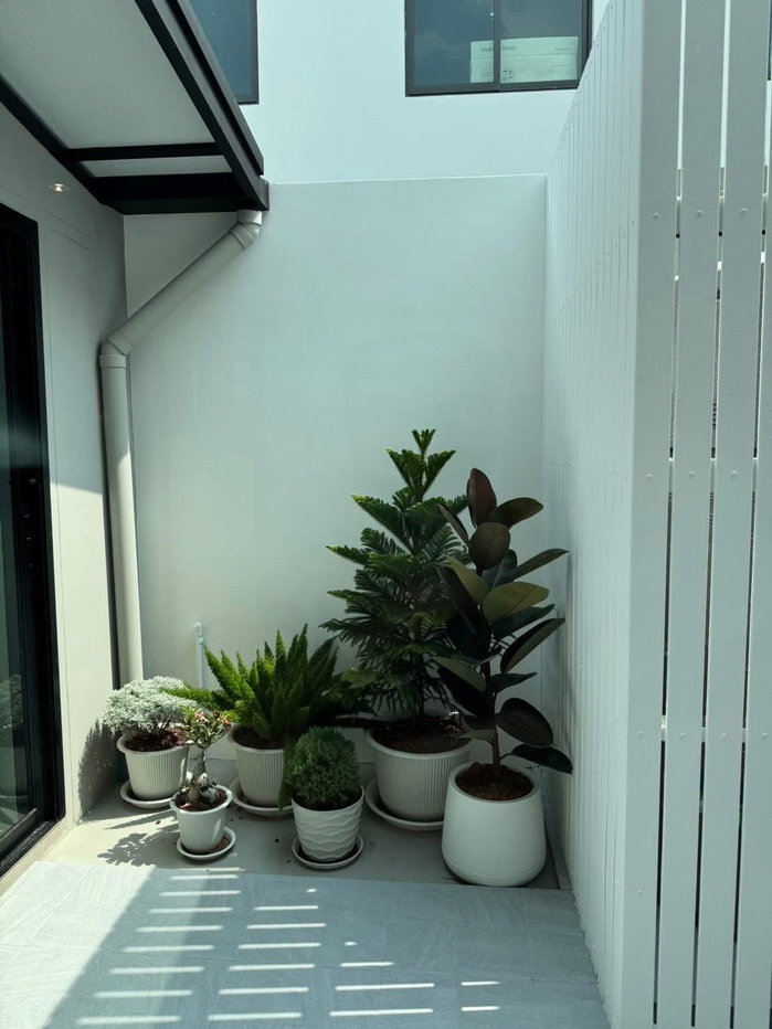 รูป P0834/[ให้เช่า] ทาวน์โฮม พลีโน่ สุขุมวิท-บางนา 4 (Pleno Sukhumvit-Bangna 4) - รูปที่ 5/19