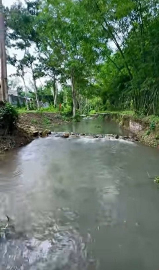 picture Gorgeous plot of land for sale with a clear title deed, blessed with a beautiful running stream passing through. - 6/7