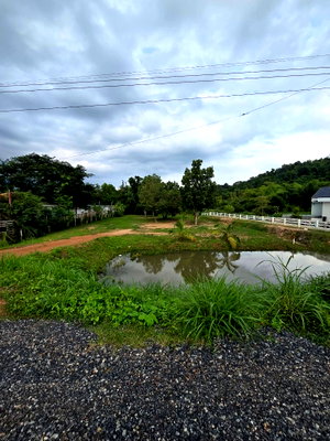 Land for sale Nakhon Nayok : Beautiful view land for sale with a canal in front 