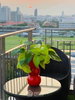 listing thumbnail image 7
