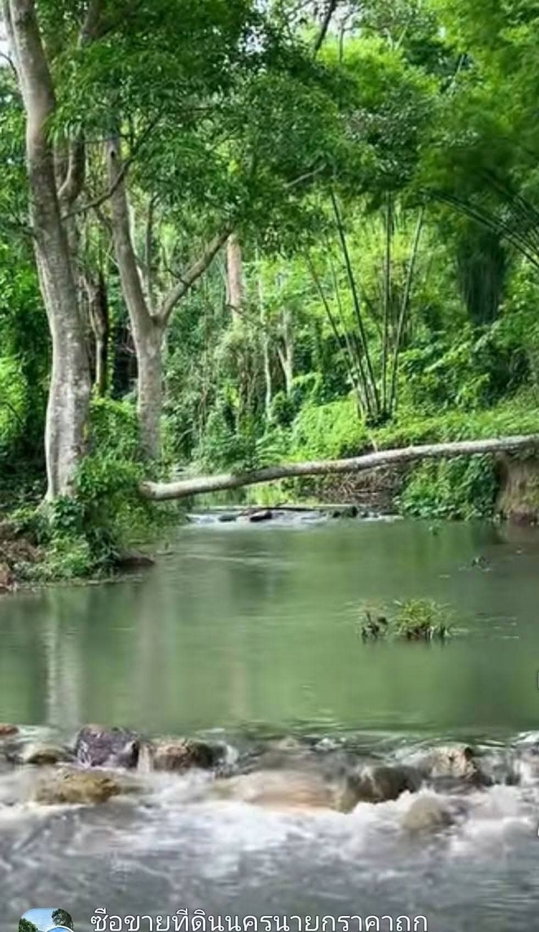 picture Gorgeous plot of land for sale with a clear title deed, blessed with a beautiful running stream passing through. - 3/7