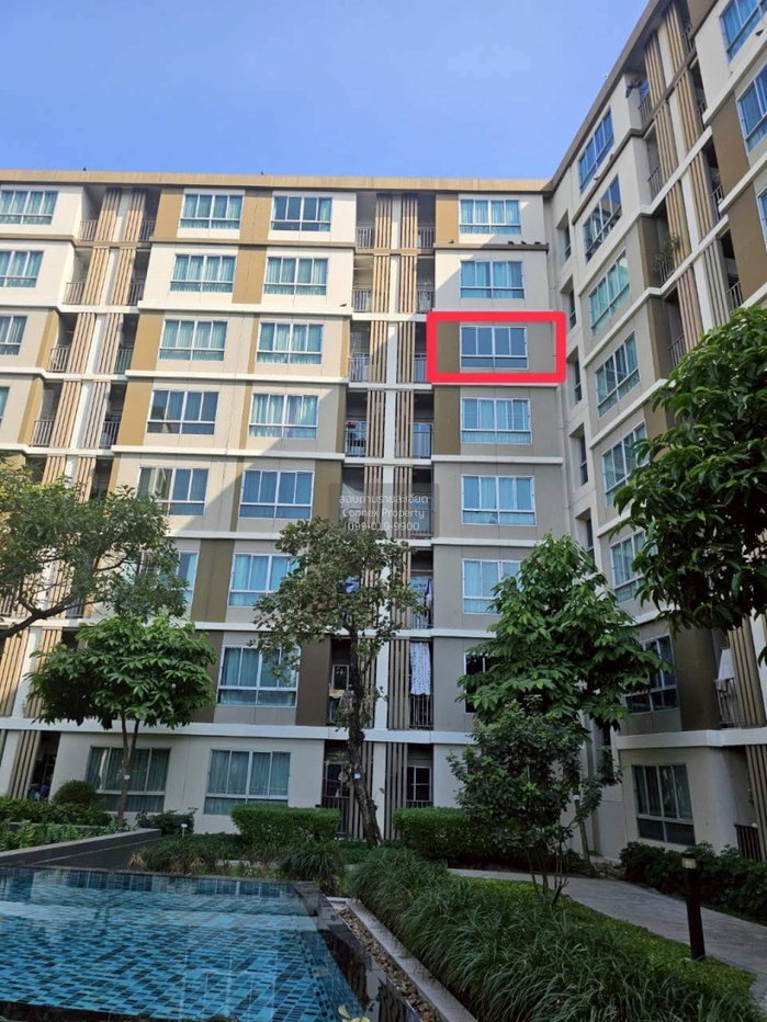 picture 🔥🔥🔥 For Rent Condo , D Condo Campus Resort Rangsit Phase 2 , Khlong Nueng , khlong Luang , Pathum Thani , CX-168532 ✅ Live chat with us ADD LINE @connexproperty ✅ 🔥🔥🔥 - 7/7