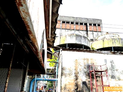โรงงาน ตรัง : เครื่องจักร กันตัง ตรัง 8.5M