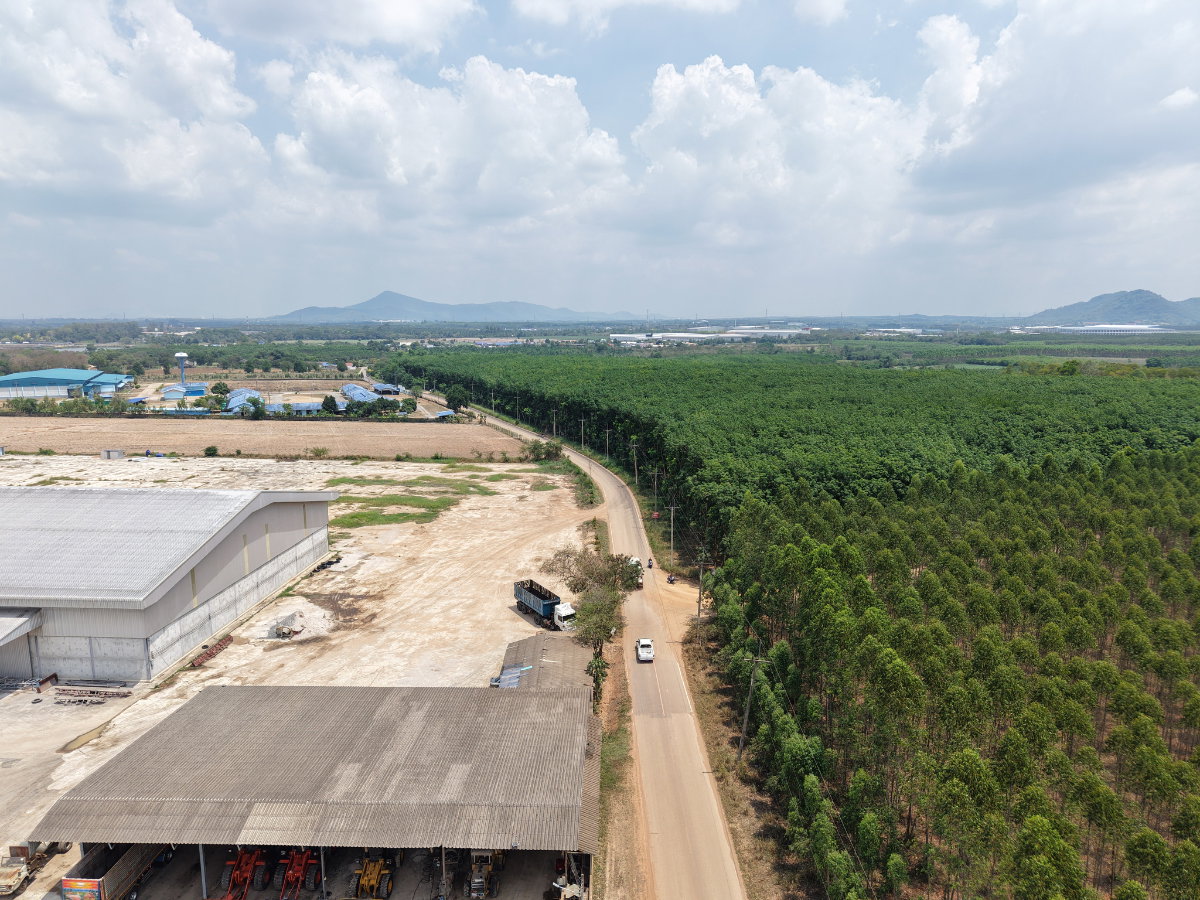 รูป ขายที่ดินผืนใหญ่ 125 บ้านบึง หนองอิรุญ ชลบุรี ใกล้นิคมอมตะซิตี้2 เหมาะกับการลงทุน - รูปที่ 10/14