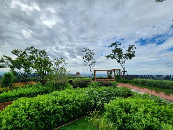 picture 🔥 For Sale: Luxury ,Chiang Mai! Walk to Central Festival! 🔥 - 24/37