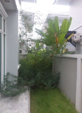 รูป บ้านเดี่ยว 56.3 ตร.วา โครงการ เทพสิริ วิลล่า บางปะกง ฉะเชิงเทรา บางปะกง ฉะเชิงเทรา 3.6M - รูปที่ 9/14