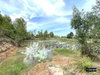 listing thumbnail image 24