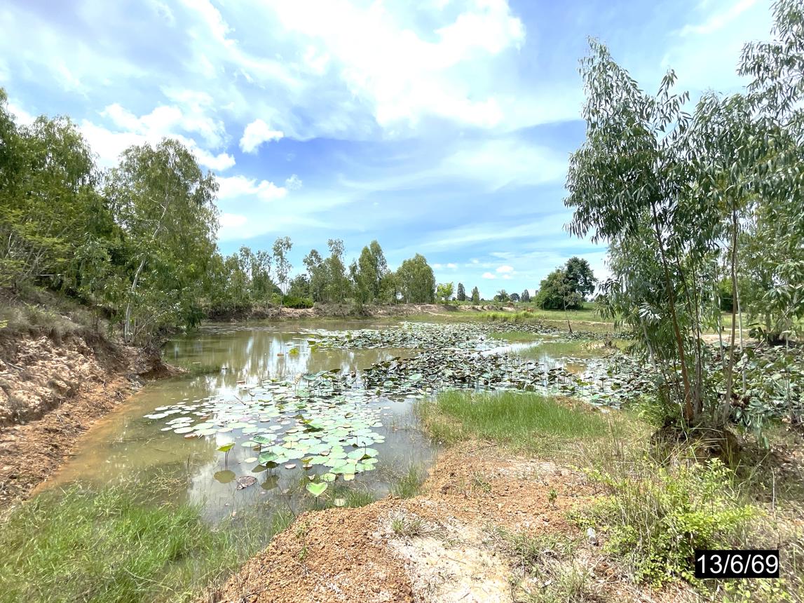 รูป ที่ดินว่างเปล่า 21590 ตร.วา ห้วยเม็ก กาฬสินธุ์ 13M - รูปที่ 25/30