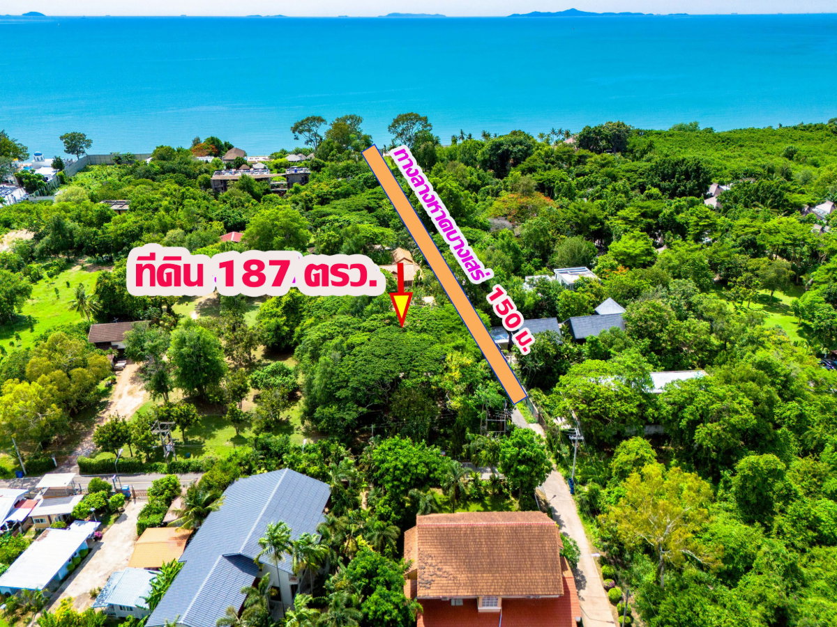 รูป ขายที่ดินใกล้ทะเล 150 ม.เดินลงทะเลได้โดยตรง บรรยากาศดืมาก - รูปที่ 6/10