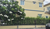listing thumbnail image 11