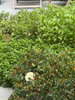 listing thumbnail image 12