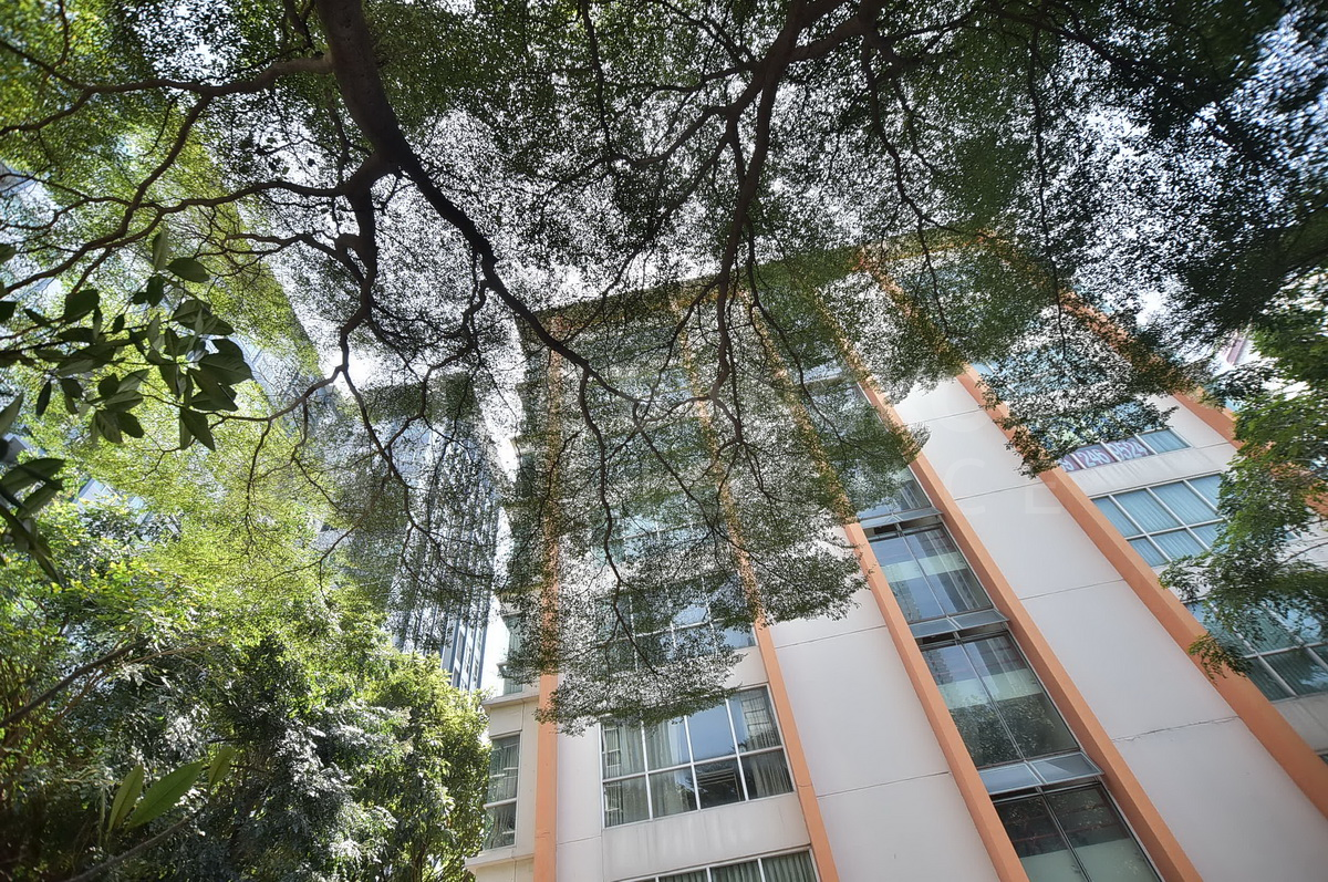 picture Room available, great price PG Rama 9 Condominium near MRT Rama 9 Station - 6/9