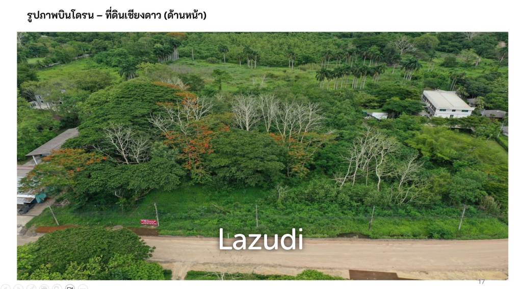 รูป ขายที่ดิน 19-3-43 ไร่ ในเชียงดาว - รูปที่ 4/7