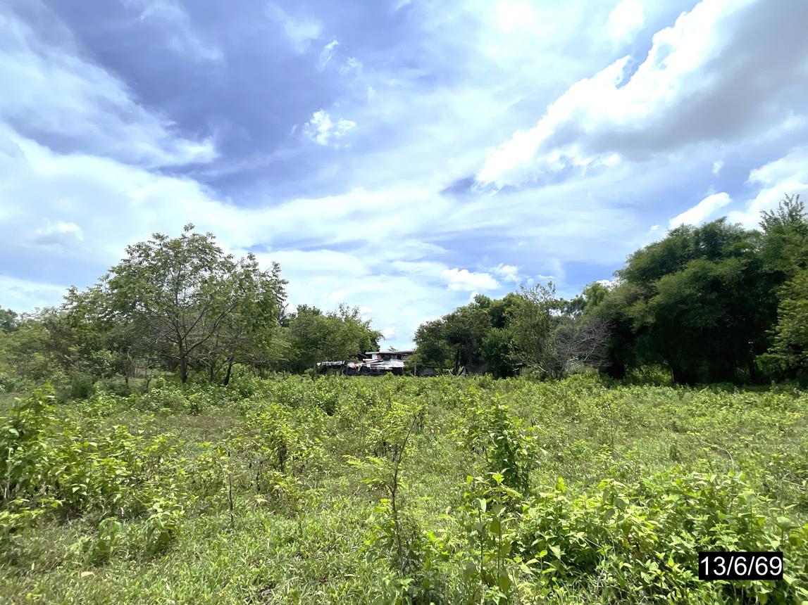 รูป ที่ดินว่างเปล่า 21590 ตร.วา ห้วยเม็ก กาฬสินธุ์ 13M - รูปที่ 19/30