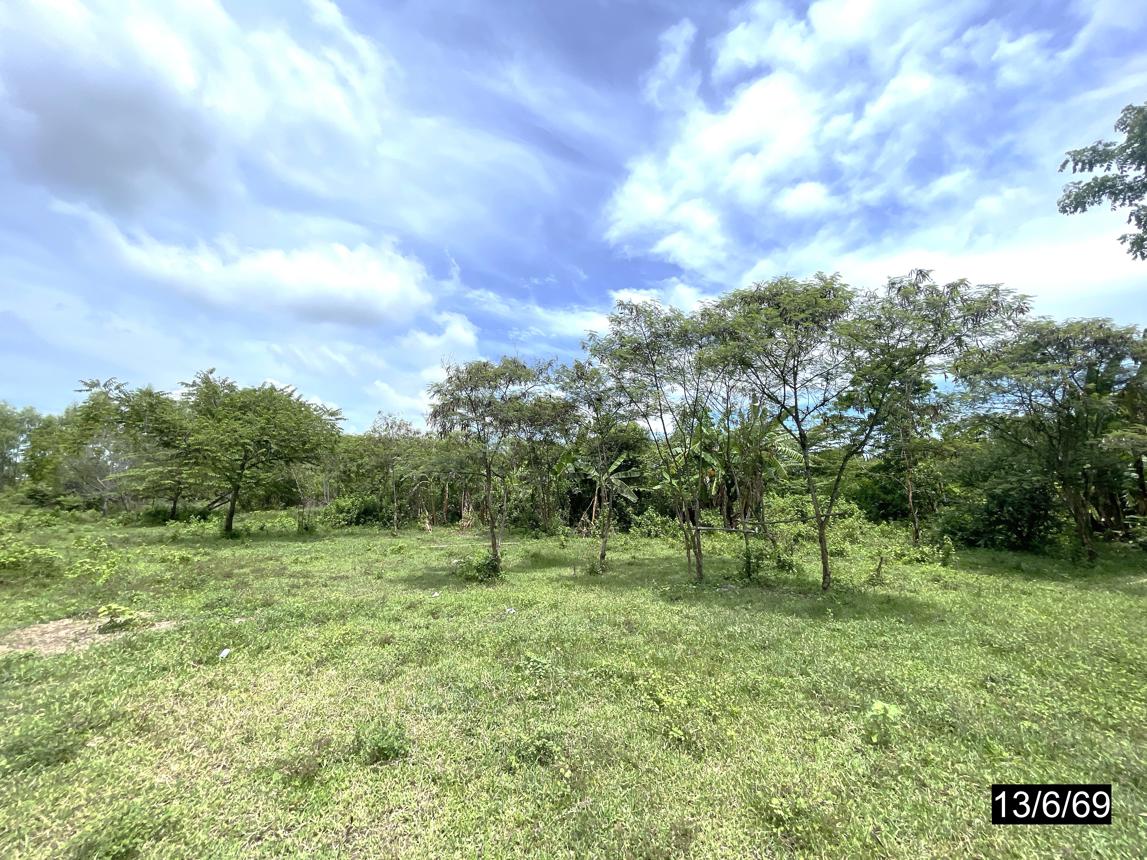 รูป ที่ดินว่างเปล่า 21590 ตร.วา ห้วยเม็ก กาฬสินธุ์ 13M - รูปที่ 18/30