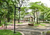 listing thumbnail image 11