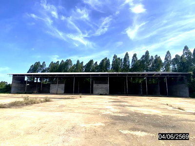 Factory for sale Phetchabun : FACTORY 5320 Sq.w. Chon Daen Phetchabun for 10.3M
