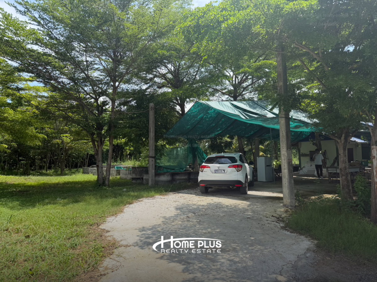 รูป 🌍 ขายที่ดินถมแล้ว 2 ไร่ ทำเลศักยภาพ หนองจอก กรุงเทพฯ - รูปที่ 3/6