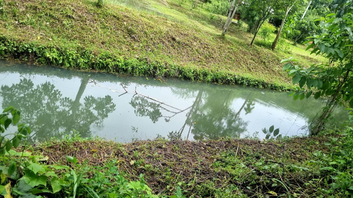 รูป ที่ดิน 3 ไร่ ด้านหน้าติดถนน ด้านหลังติดน้ำ และภูเขา - รูปที่ 4/7
