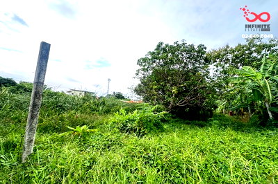 ที่ดิน วิทยาลัยการชลประทาน : ขายที่ดิน 43 ตร.ว. ซอยไทรม้า 8 ท่าอิฐ ปากเกร็ด นนทบุรี