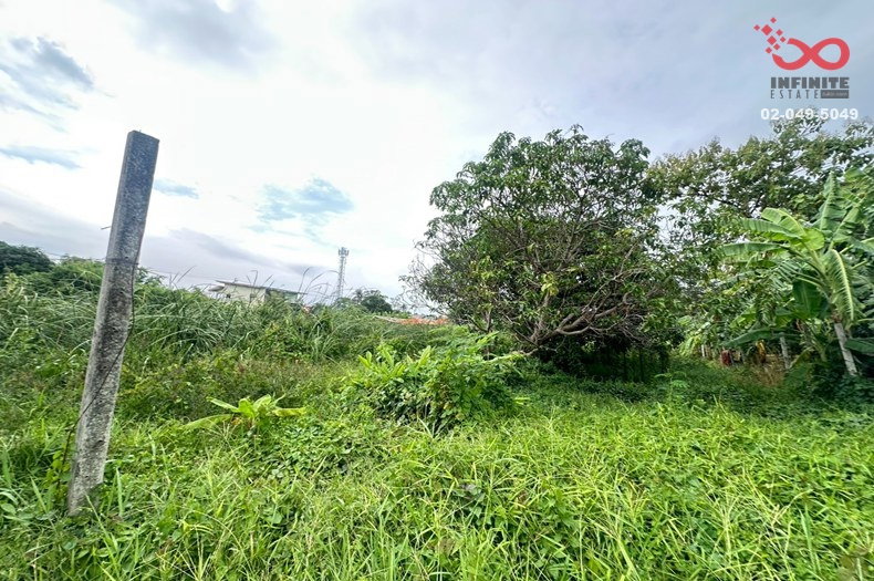 รูป ขายที่ดิน 43 ตร.ว. ซอยไทรม้า 8 ท่าอิฐ ปากเกร็ด นนทบุรี - รูปที่ 1/3