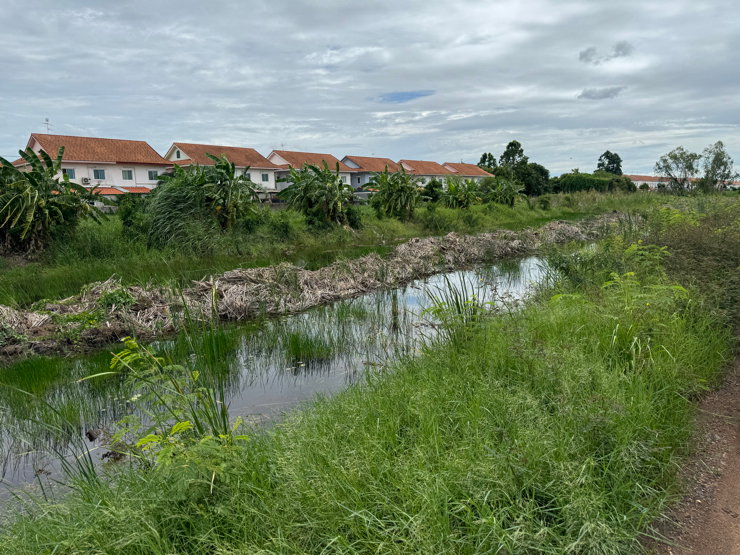 รูป ขายที่ดินเปล่า 1 ไร่ ซอยไสวประชาราษฎร์ 41 (ลำลูกกา คลอง 4) ทำเลดีใกล้ตลาดกลางลาดสวาย เหมาะทำโกดัง SME โฮมออฟฟิศ บ้านพักอาศัย (ต่อรองได้) - รูปที่ 2/9