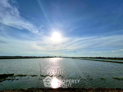 ที่ดิน บางบ่อ สมุทรปราการ : ขายที่ดิน คลองด่าน บางบ่อ สมุทรปราการ (ID 3164083)