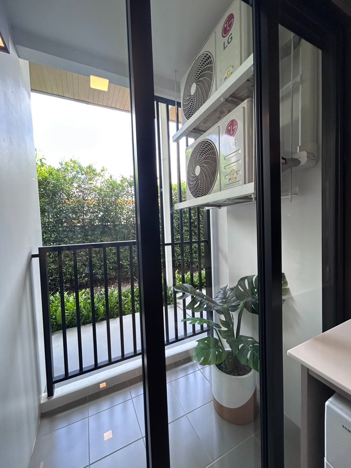 picture Dcondo Cove | 1 Bedroom 31.50 Sq.m. - 6/7