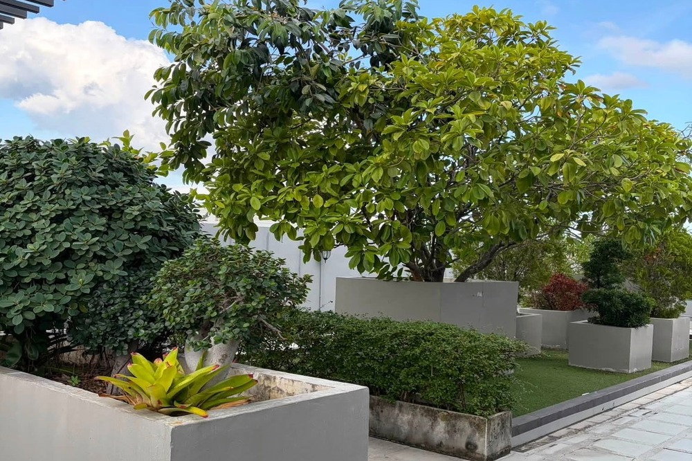 picture 🔥 For Rent !! The Ace Ekamai, 1 bedroom, 1 bathroom, Code C20230300010 furnished, ready to move in📣📣 - 5/6