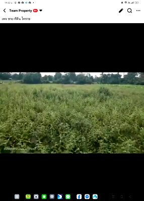 Land for sale Khong Nakhon Ratchasima : wrtfddrfdsdffrggdsdgiijhkkjujkkkkkkjkjkjkjjj