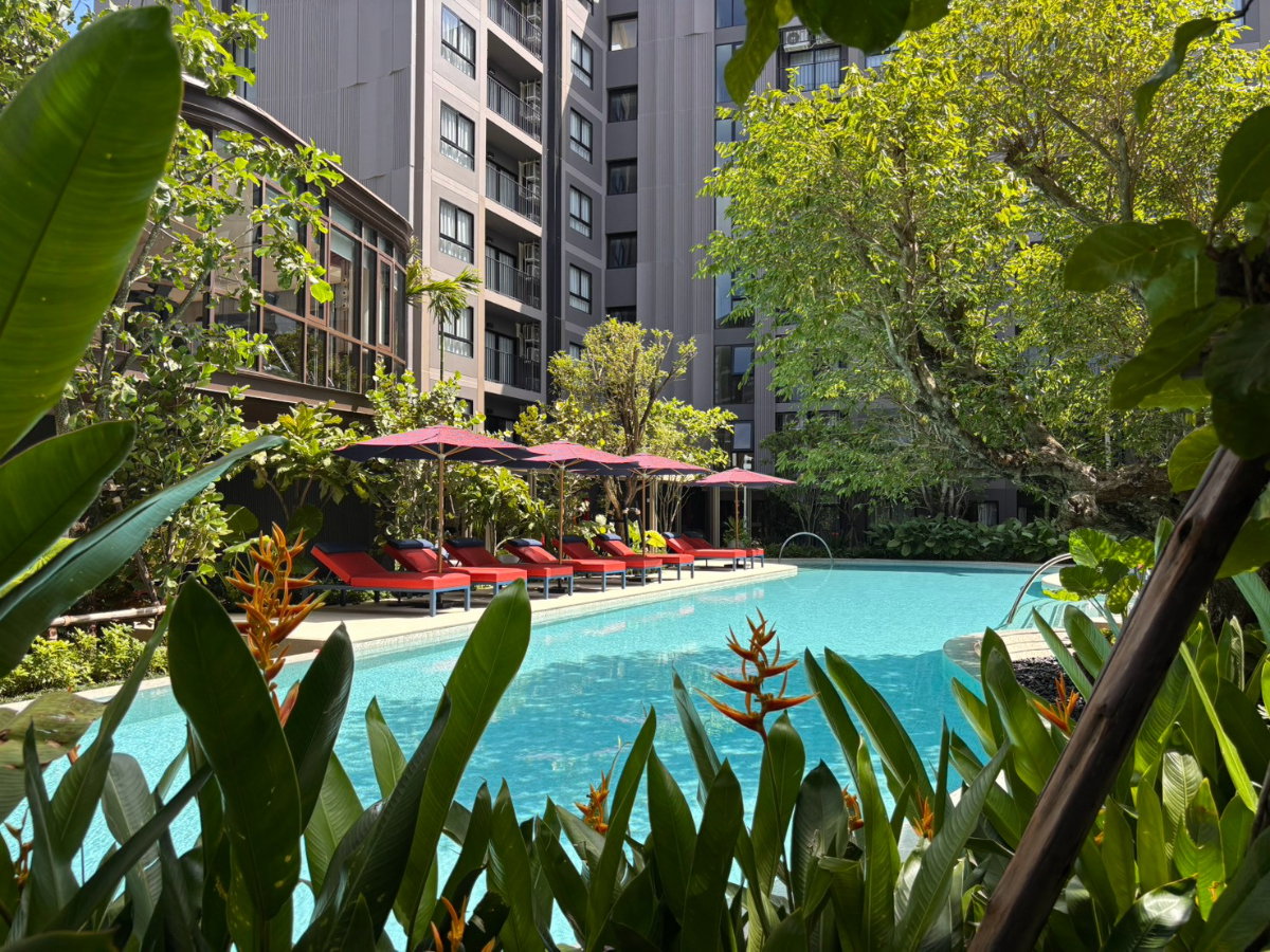รูป Hot Deal 🔥 The Base Cherngtalay in Phuket 61.51 sqm ราคา 7.72 MB (Pet friendly) - รูปที่ 15/22