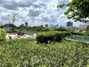 listing thumbnail image 26