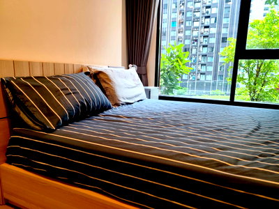 Condos for rent : Condo for Rent at Life Asoke Hype (M6908012) ID Line : @condo79