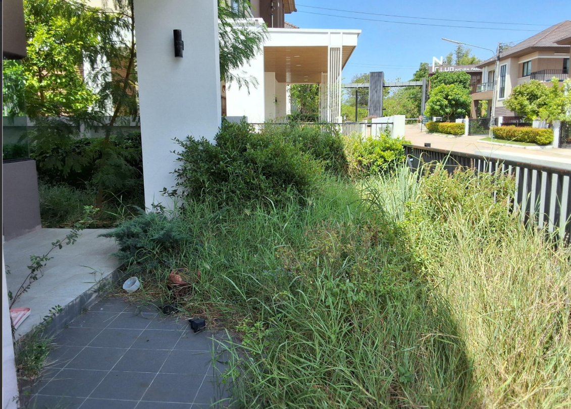 picture HOME 58 Sq.w. Muang Nakhon Ratchasima Nakhon Ratchasima for 4.5M - 8/27