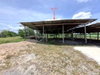 listing thumbnail image 25