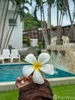 listing thumbnail image 30