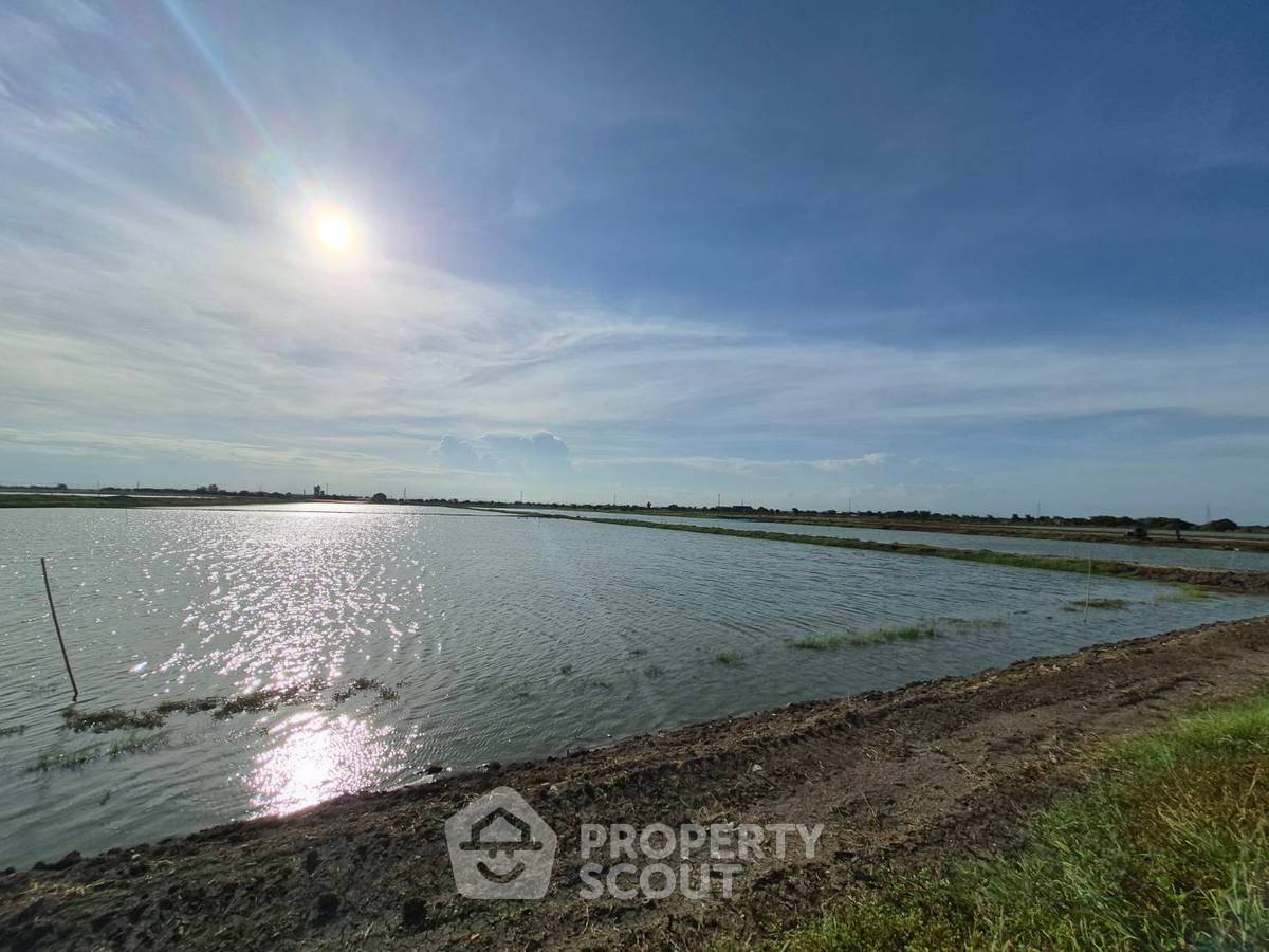 รูป ขายที่ดิน คลองด่าน บางบ่อ สมุทรปราการ (ID 3164083) - รูปที่ 2/3