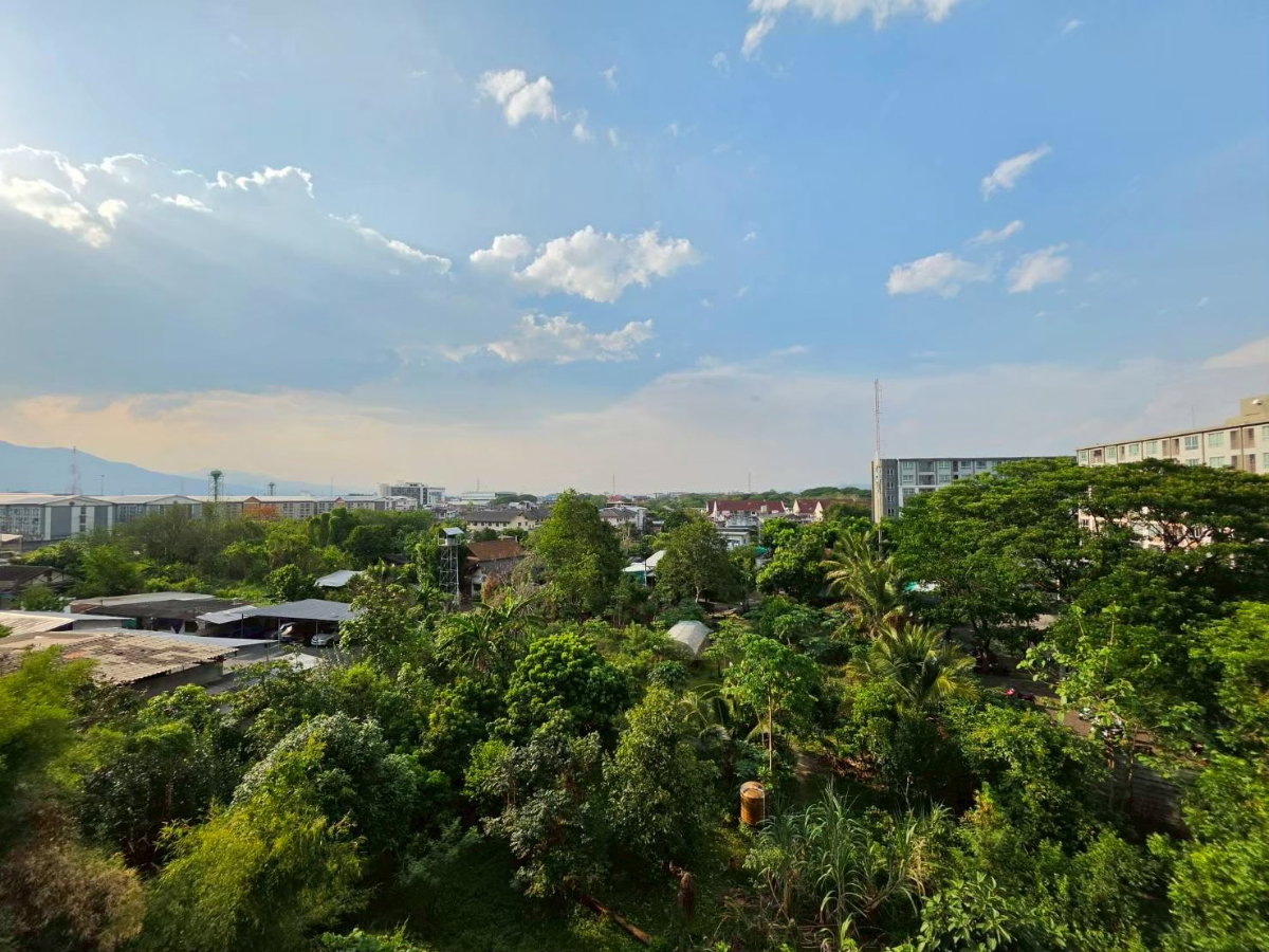 picture 🔥 For Sale: Luxury ,Chiang Mai! Pet-Friendly! Walk to Central Festival! 🔥 - 9/56