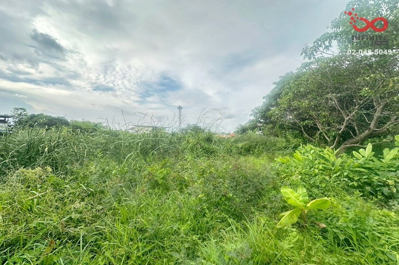 รูป ขายที่ดิน 43 ตร.ว. ซอยไทรม้า 8 ท่าอิฐ ปากเกร็ด นนทบุรี - รูปที่ 2/3