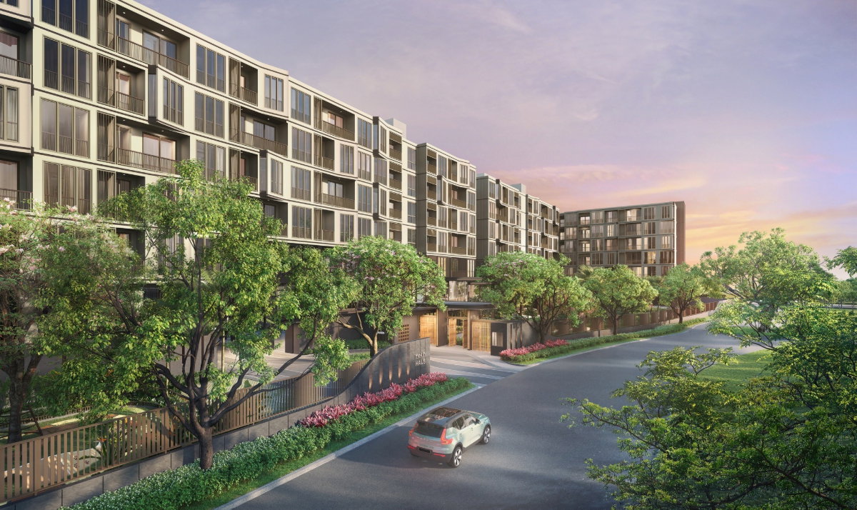 picture 🔥 For Sale: Luxury ,Chiang Mai! Pet-Friendly! Walk to Central Festival! 🔥 - 54/56
