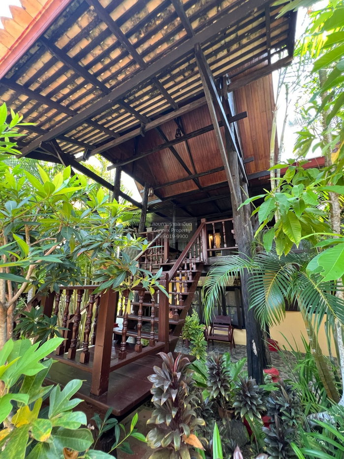 รูป เช่าบ้าน ภูเก็ต - ไทยเฮ้าส์ เทพกระษัตรี ถลาง ภูเก็ต CX-161753 ✅ ทักไลน์ @connexproperty ตอบทันที ทีมงานมืออาชีพ ✅ - รูปที่ 6/12