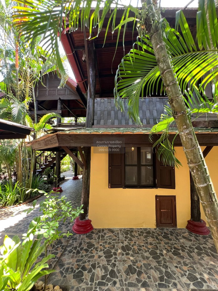 รูป เช่าบ้าน ภูเก็ต - ไทยเฮ้าส์ เทพกระษัตรี ถลาง ภูเก็ต CX-161753 ✅ ทักไลน์ @connexproperty ตอบทันที ทีมงานมืออาชีพ ✅ - รูปที่ 2/12